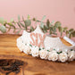 Girls birthday tiara, princess tiara, white birthday tiara, girls birthday crown, birthday accessories