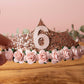 Girls birthday tiara, princess tiara, rose gold birthday tiara, girls birthday crown, birthday accessories